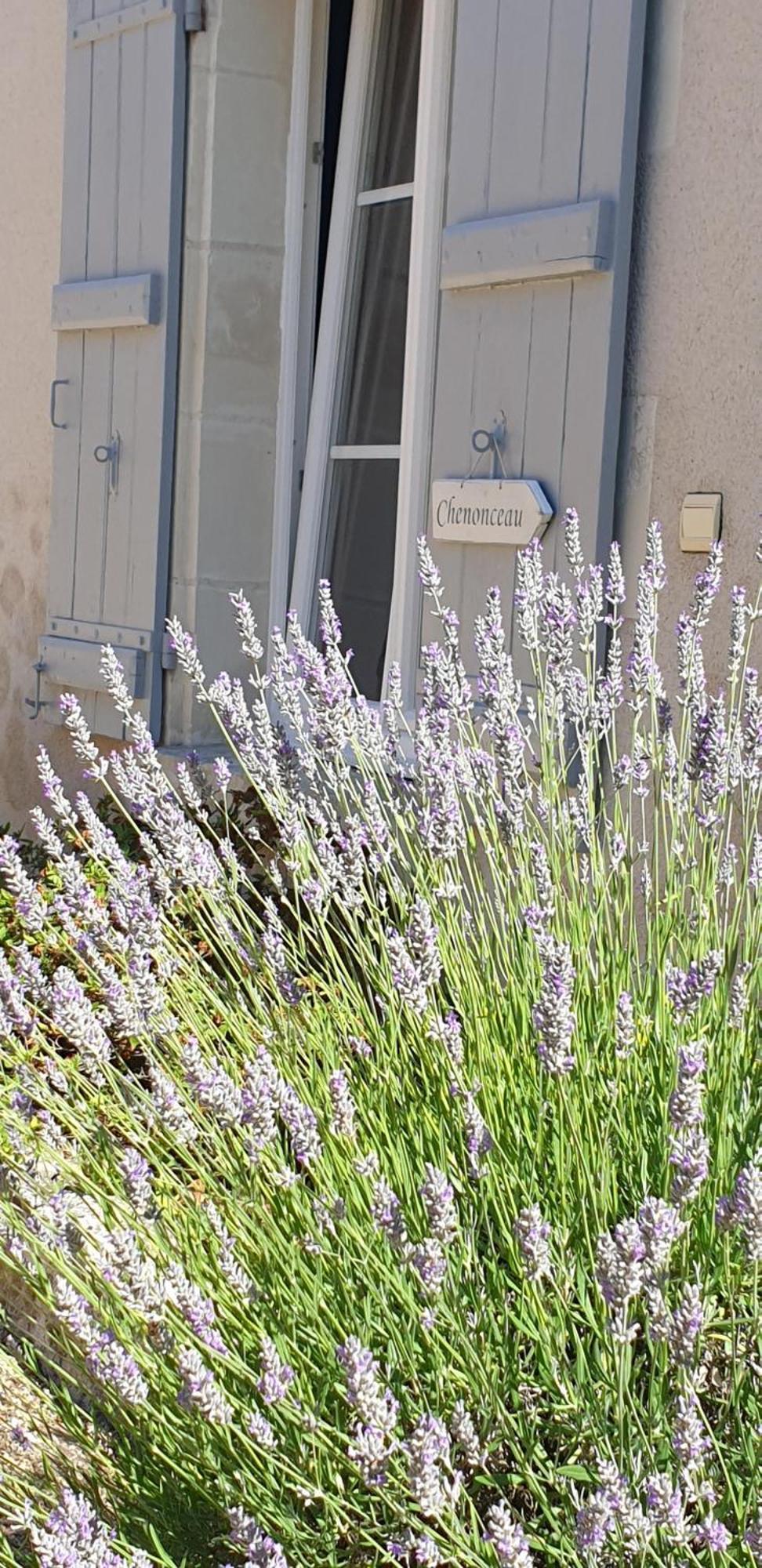 Le Clos de La Rousseliere Francueil Habitación foto